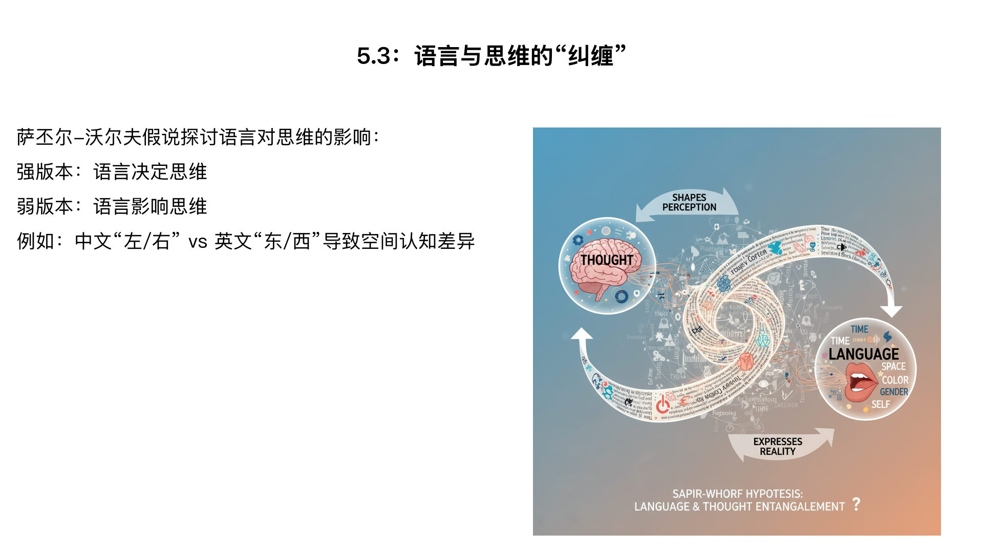 5.3：语言与思维的 “纠缠”—— 萨丕尔 - 沃尔夫假说的争议
核心内容：解析假说的 “强版本”（语言决定思维，如 “爱斯基摩人对‘雪’的多种词汇使其更易区分雪的形态”）与 “弱版本”（语言影响思维，如 “中文用‘左 / 右’描述方向，英文用‘东 / 西’，导致空间认知差异”），结合跨文化研究（如不同语言者的颜色分类差异）讨论假说的合理性与局限。
辩论：正反方围绕 “‘母语限制了我们的思维’是否成立” 展开辩论，结合自身语言经验举例。