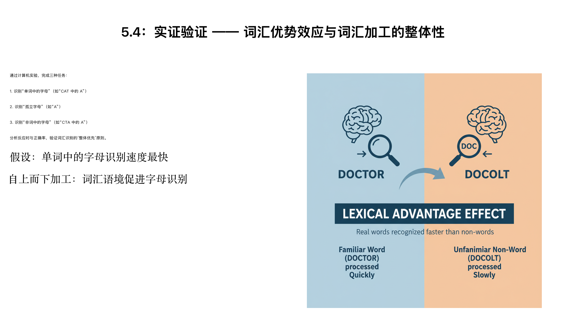 5.4：实证验证 —— 词汇优势效应与词汇加工的整体性
核心任务：通过计算机实验，让学生完成三种任务 —— 识别 “单词中的字母”（如 “CAT 中的 A”）、识别 “孤立字母”（如 “A”）、识别 “非词中的字母”（如 “CTA 中的 A”），记录反应时与正确率。
分析：验证 “单词中的字母识别速度最快” 的假设，结合 “自上而下加工” 解释词汇语境对字母加工的促进作用，讨论 “词汇识别的‘整体优先’原则”。