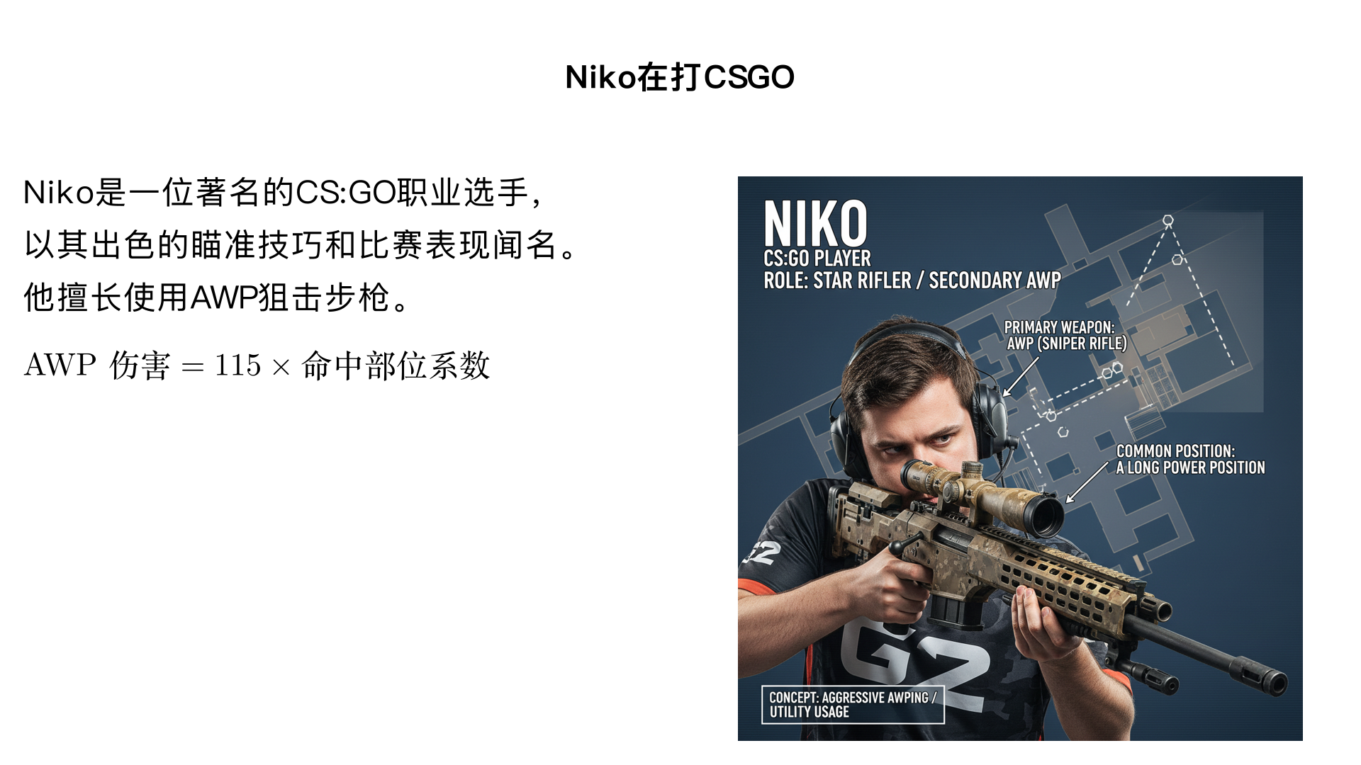 Niko在打csgo