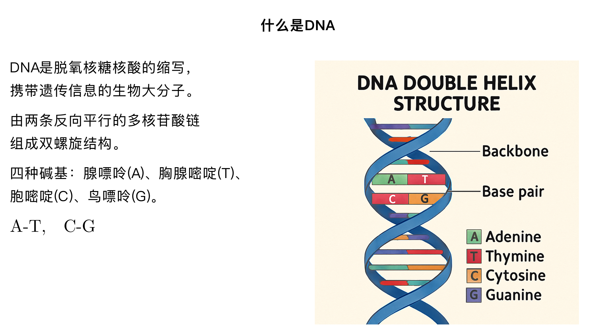 什么是DNA
