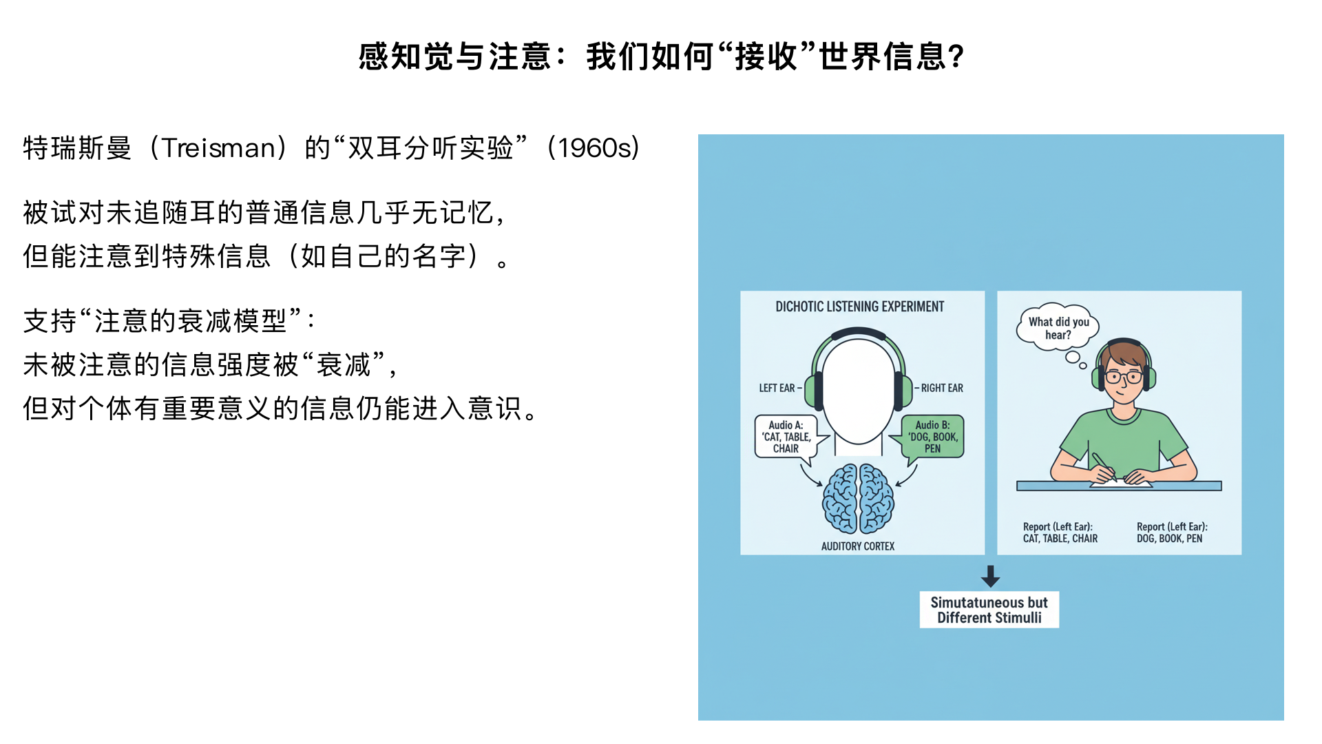 1.1感知觉与注意：我们如何 “接收” 世界信息？——特瑞斯曼（Treisman）的 “双耳分听实验”（1960s）
实验设计：
给被试左右耳同时播放不同内容的听觉信息（如左耳听小说、右耳听新闻），要求被试 “追随” 其中一只耳朵的信息（仅复述该耳内容），实验后测试被试对未追随耳信息的记忆。
核心发现：
被试对未追随耳的普通信息（如文字内容）几乎无记忆，但能注意到特殊信息（如自己的名字、突然的巨响）。
理论意义：
支持 “注意的衰减模型”—— 未被注意的信息并非完全被阻断，而是强度被 “衰减”，但对个体有重要意义的信息（如名字）仍能突破衰减，进入意识。