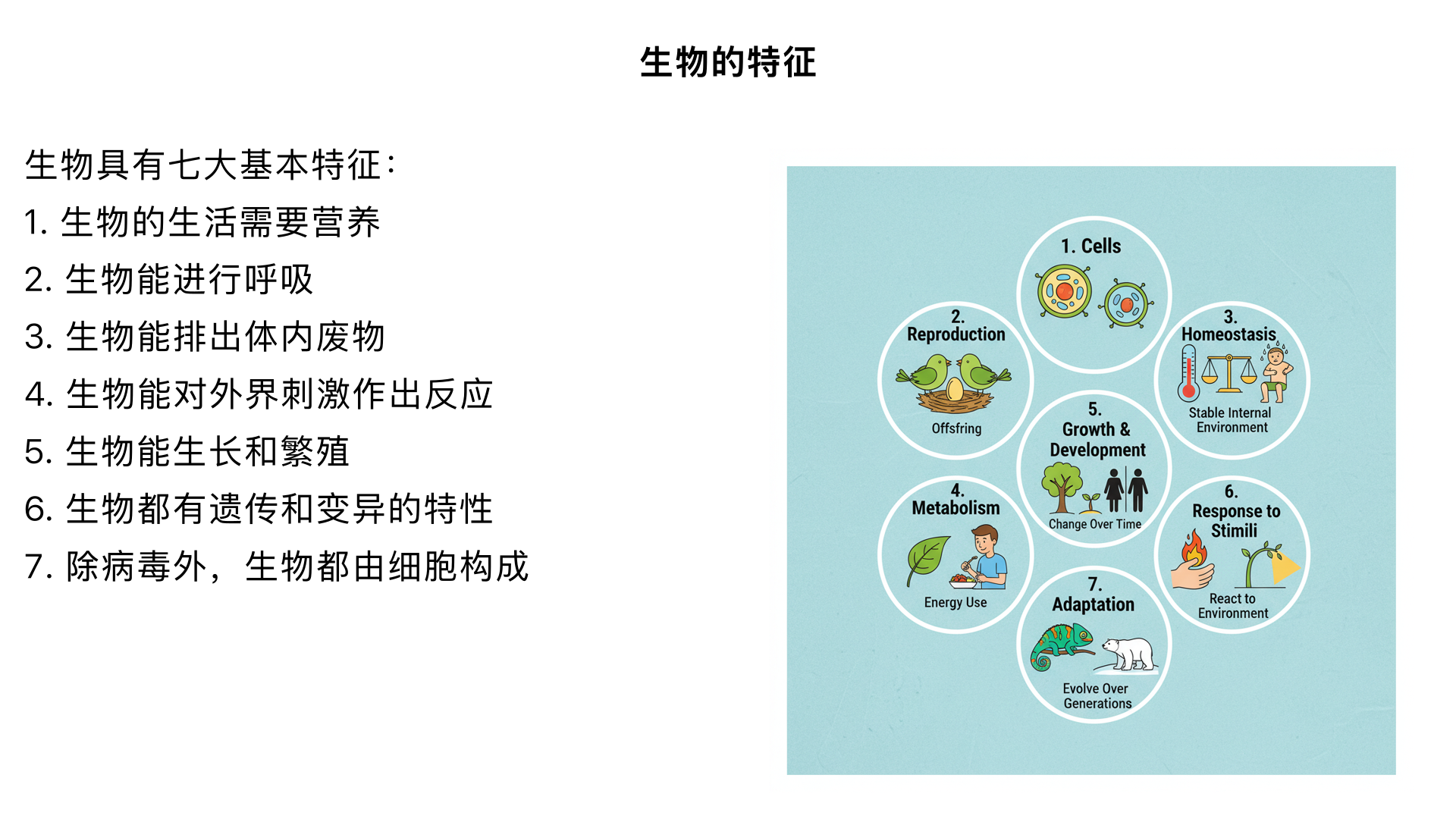 七年级生物/生物和生物圈/认识生物/生物的特征