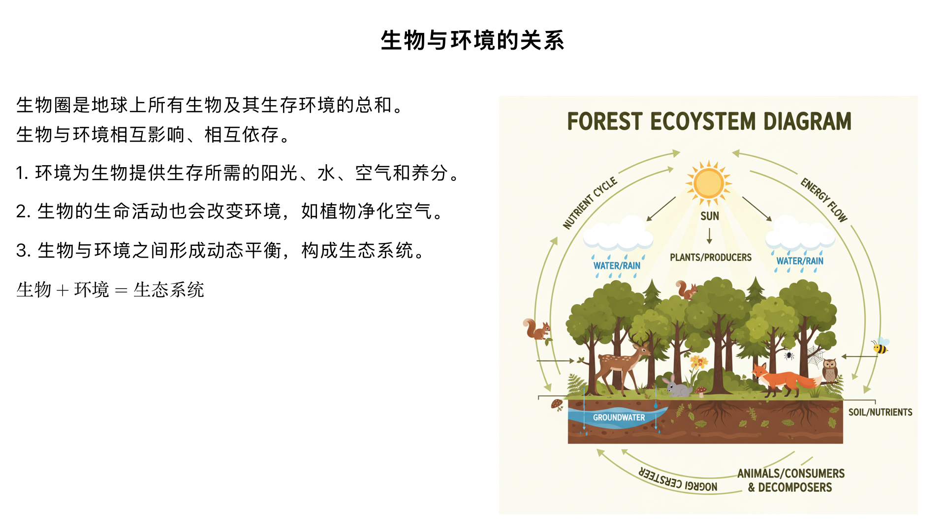 七年级生物/生物和生物圈/了解生物圈/生物与环境的关系