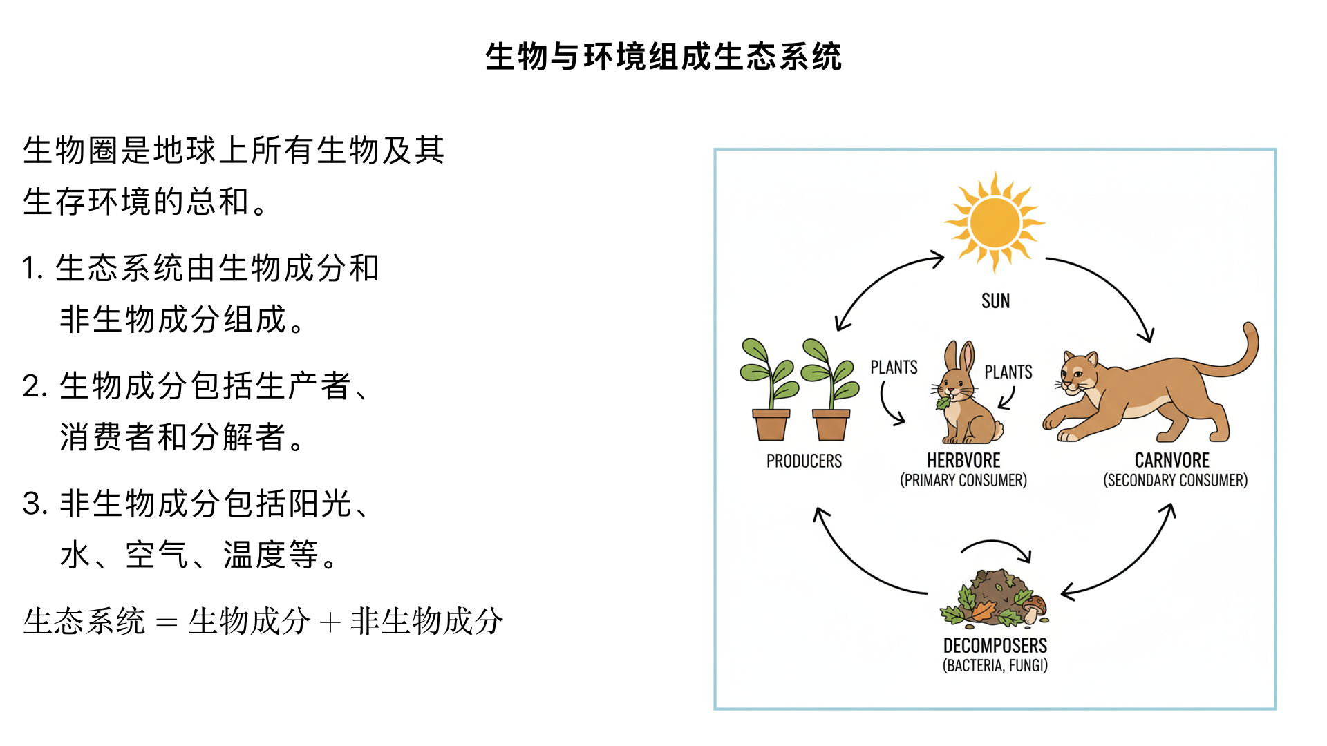 七年级生物/生物和生物圈/了解生物圈/生物与环境组成生态系统