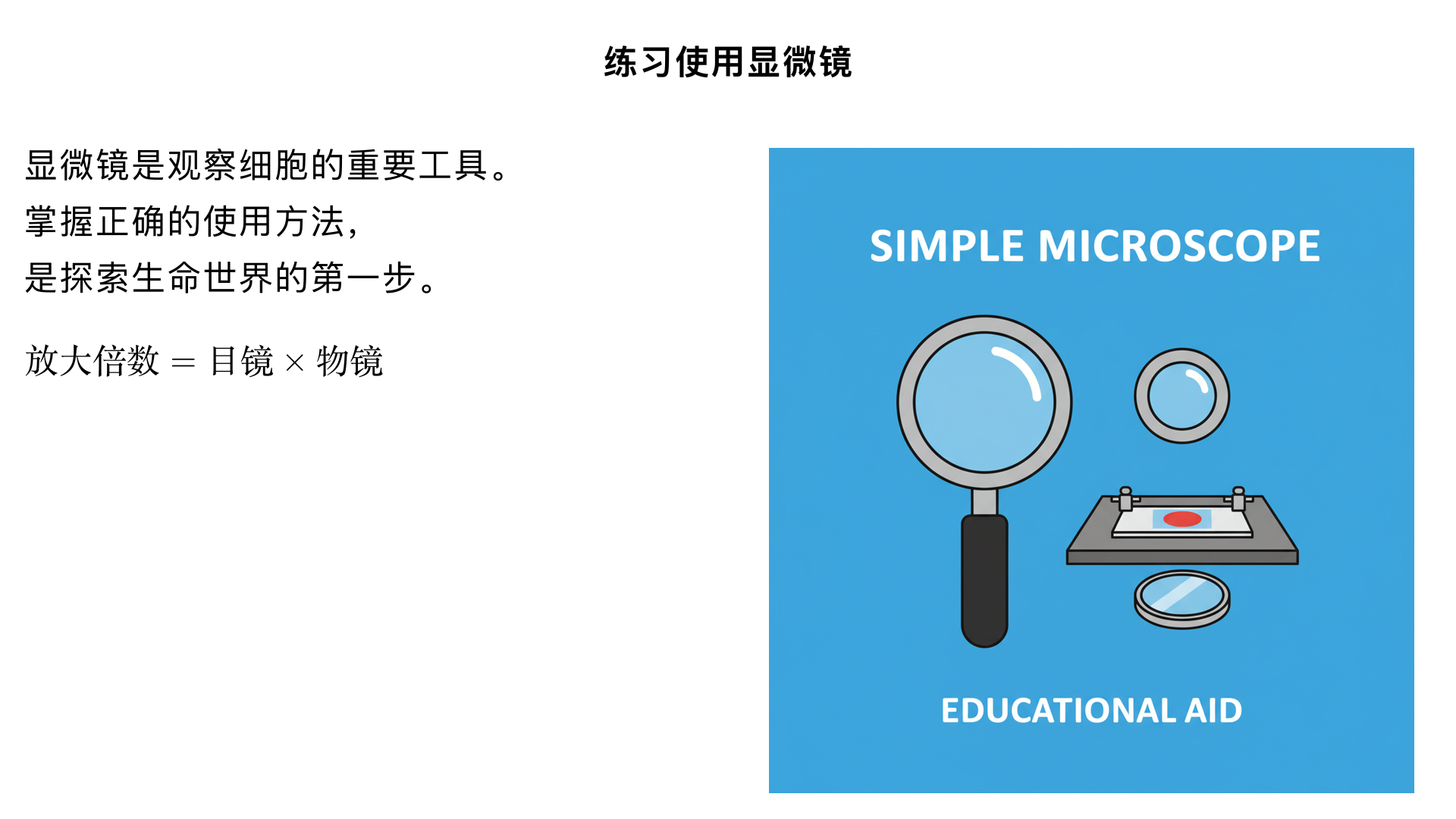七年级生物/生物体的结构层次/细胞是生命活动的基本单位/练习使用显微镜

