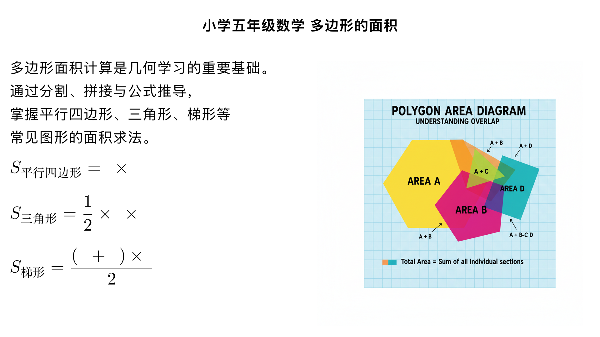 小学五年级数学/多边形的面积