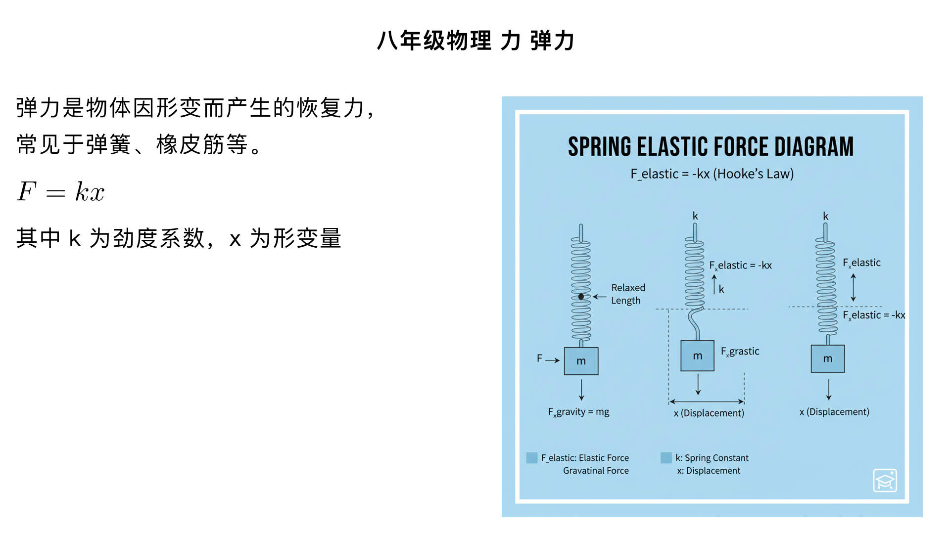 八年级物理/力/弹力