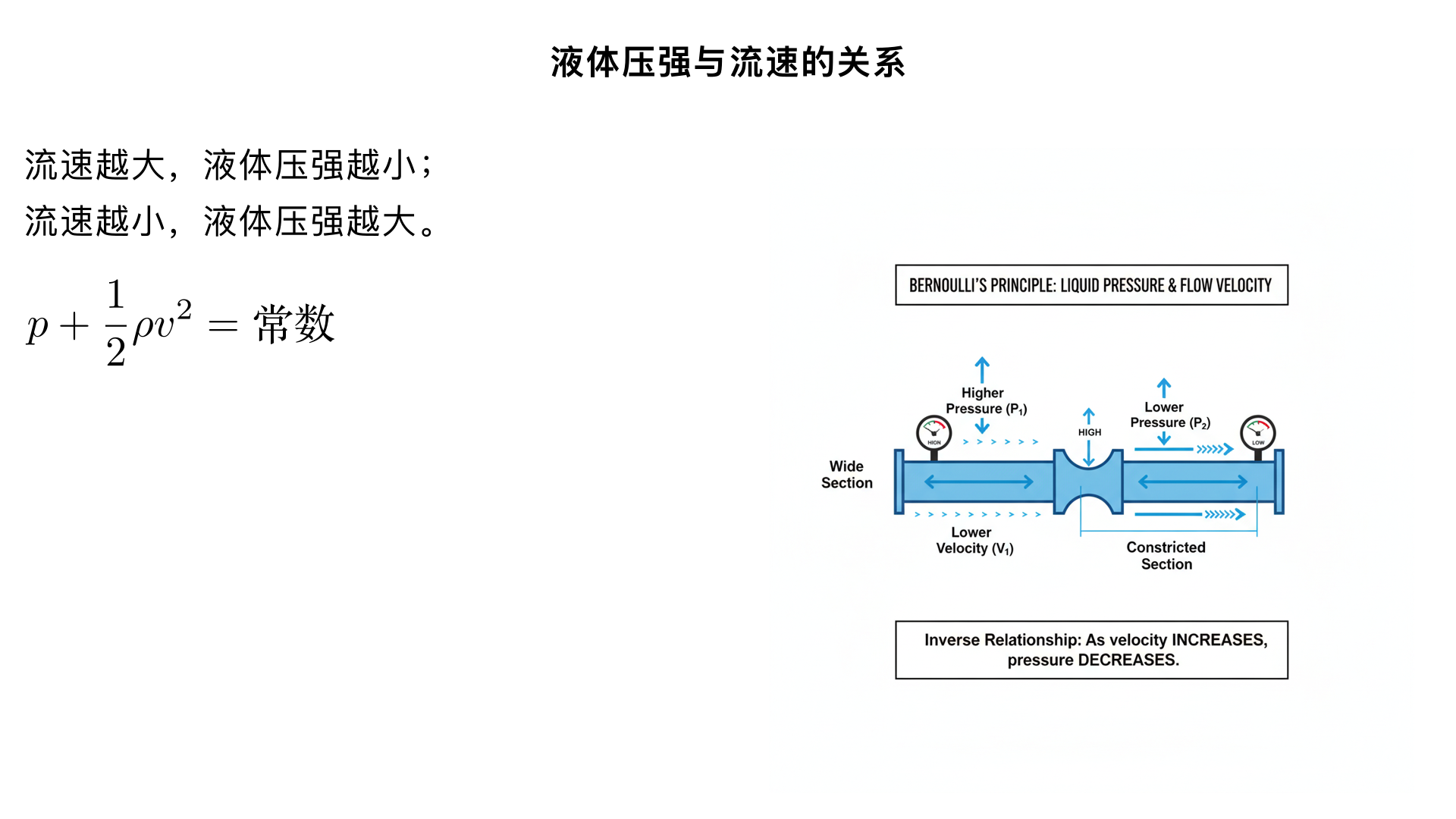 八年级物理/压强/液体压强与流速的关系