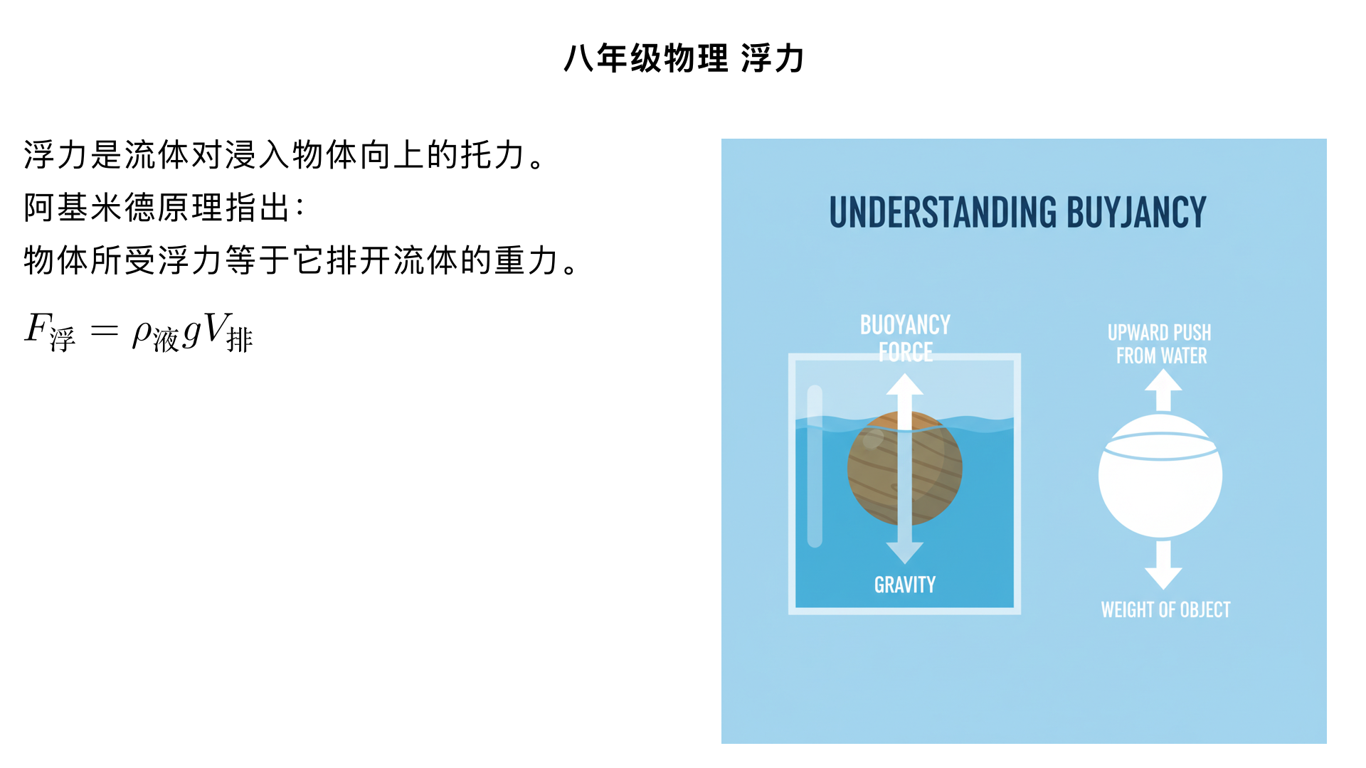 八年级物理/浮力/浮力