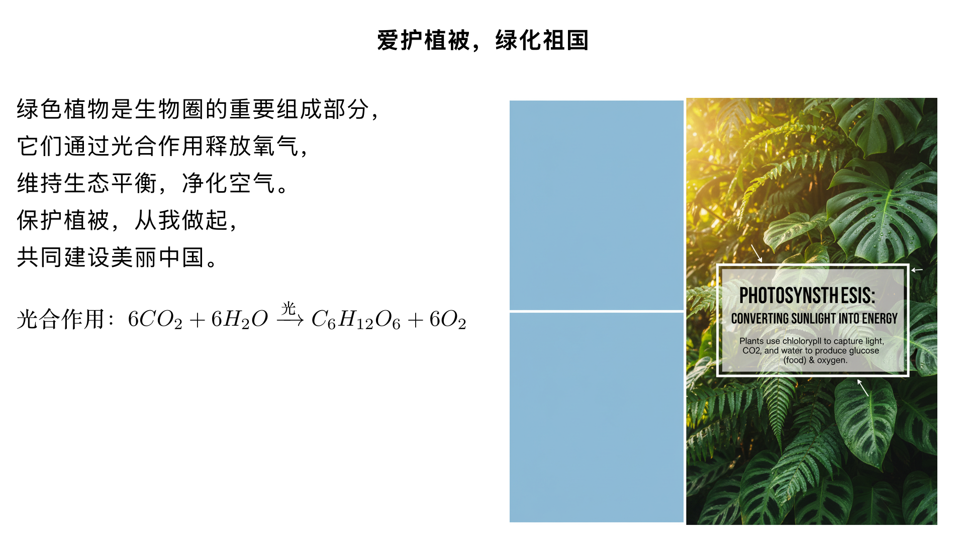 
七年级生物/生物圈中的绿色植物/爱护植被，绿化祖国