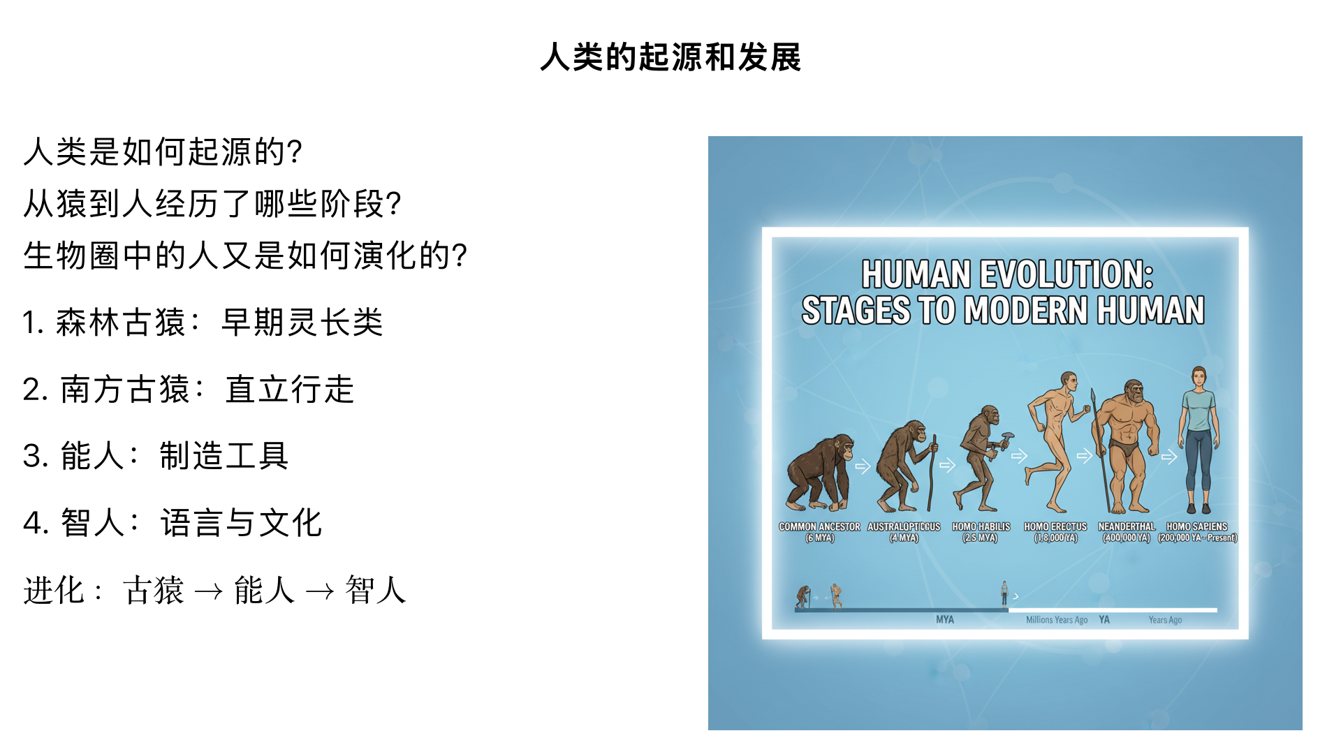 七年级生物/生物圈中的人/人类的起源和发展