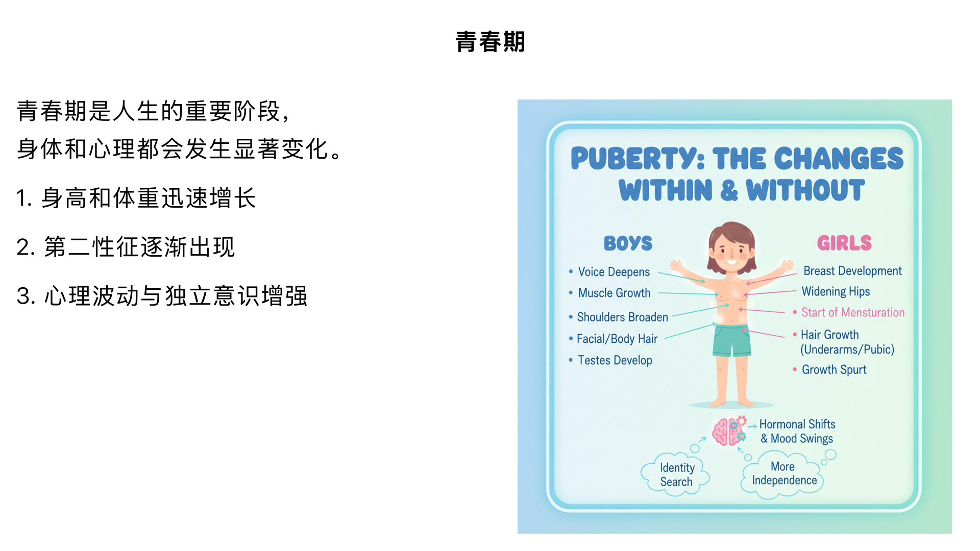 七年级生物/生物圈中的人/青春期