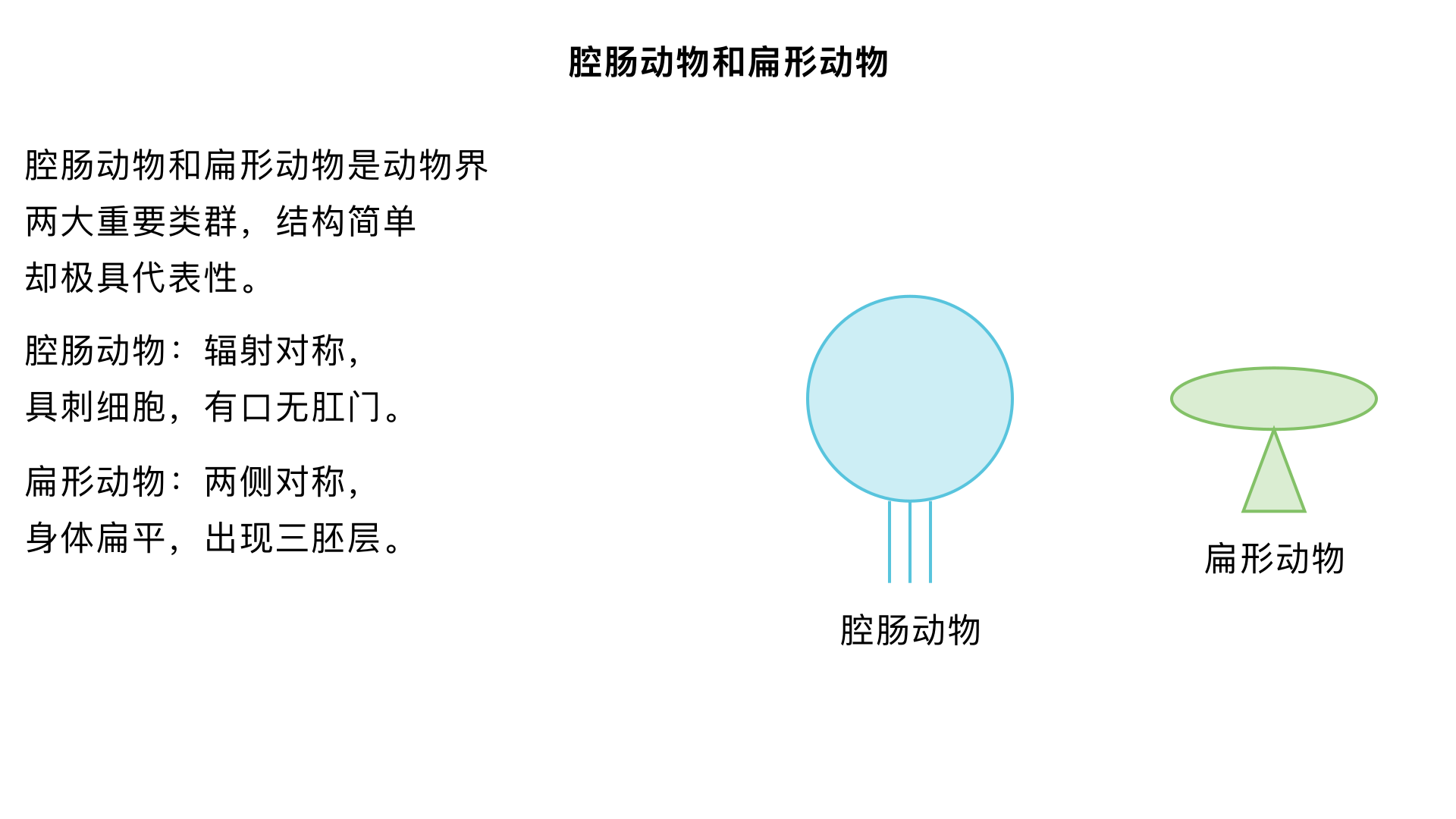 八年级生物/动物的主要类群/腔肠动物和扁形动物