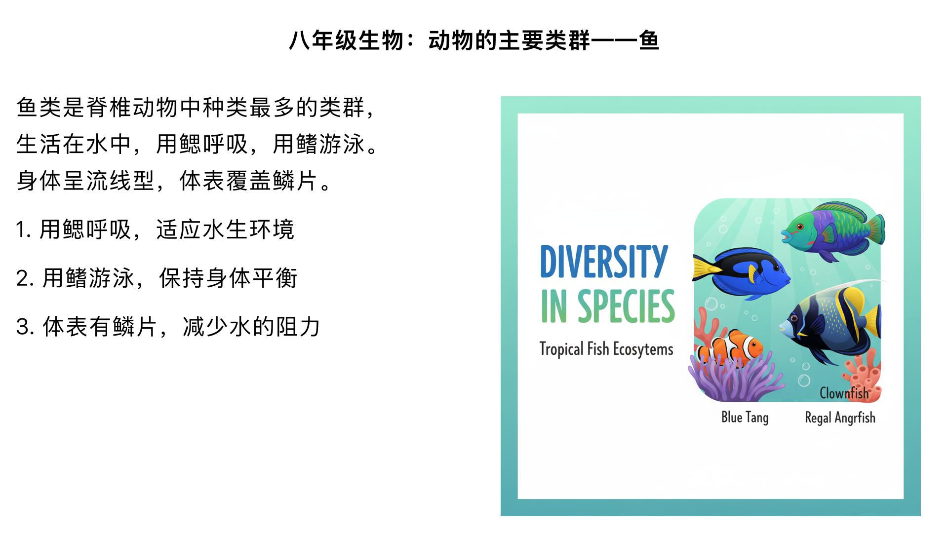 八年级生物/动物的主要类群/鱼