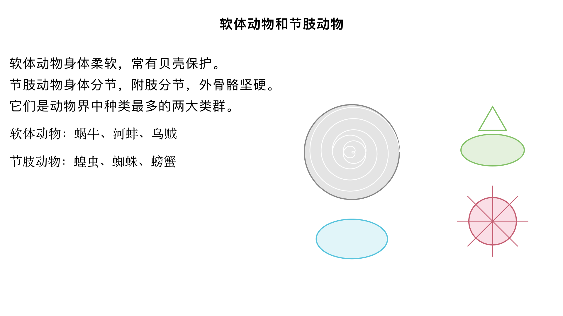 八年级生物/动物的主要类群/软体动物和节肢动物