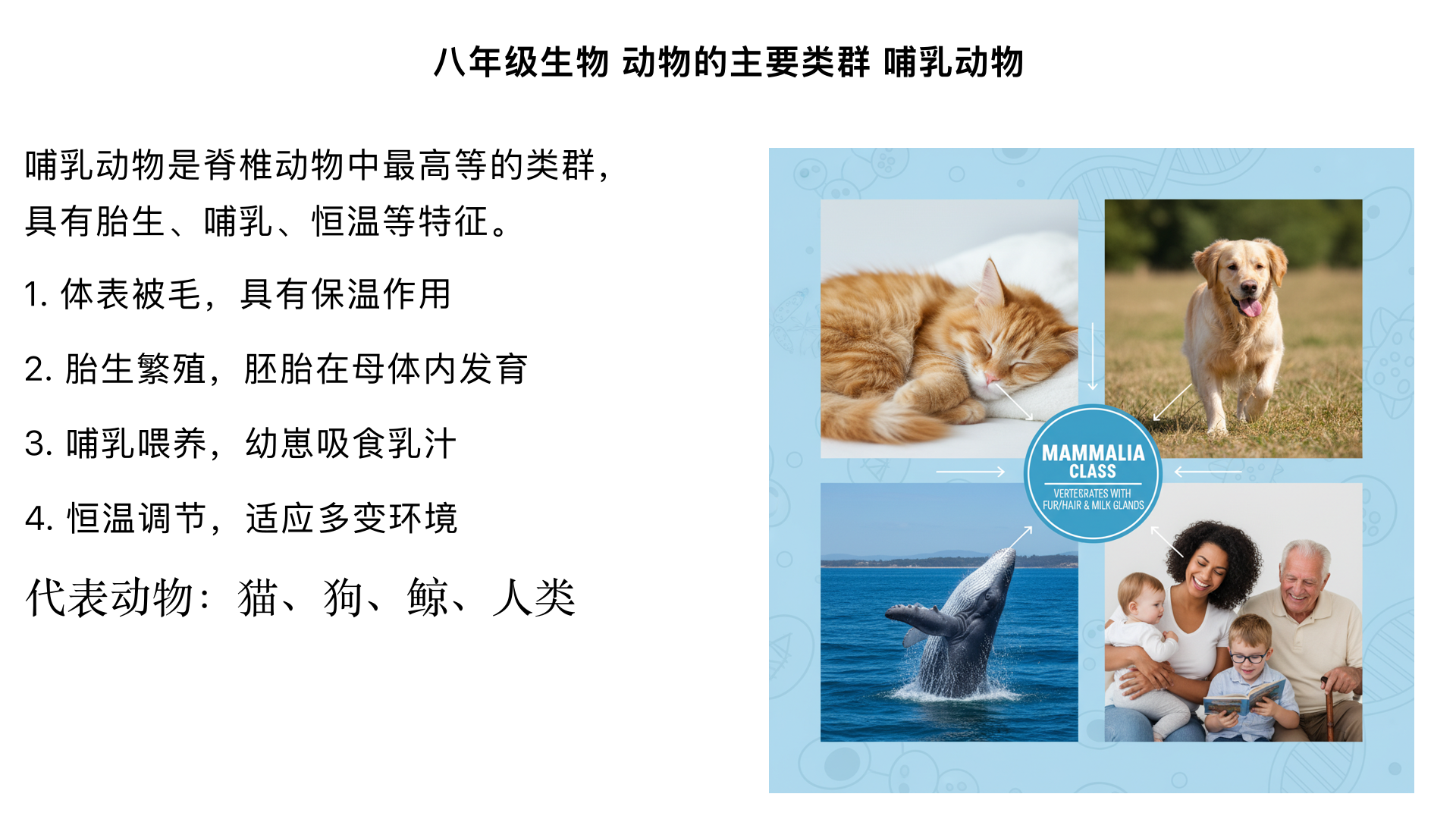 八年级生物/动物的主要类群/哺乳动物