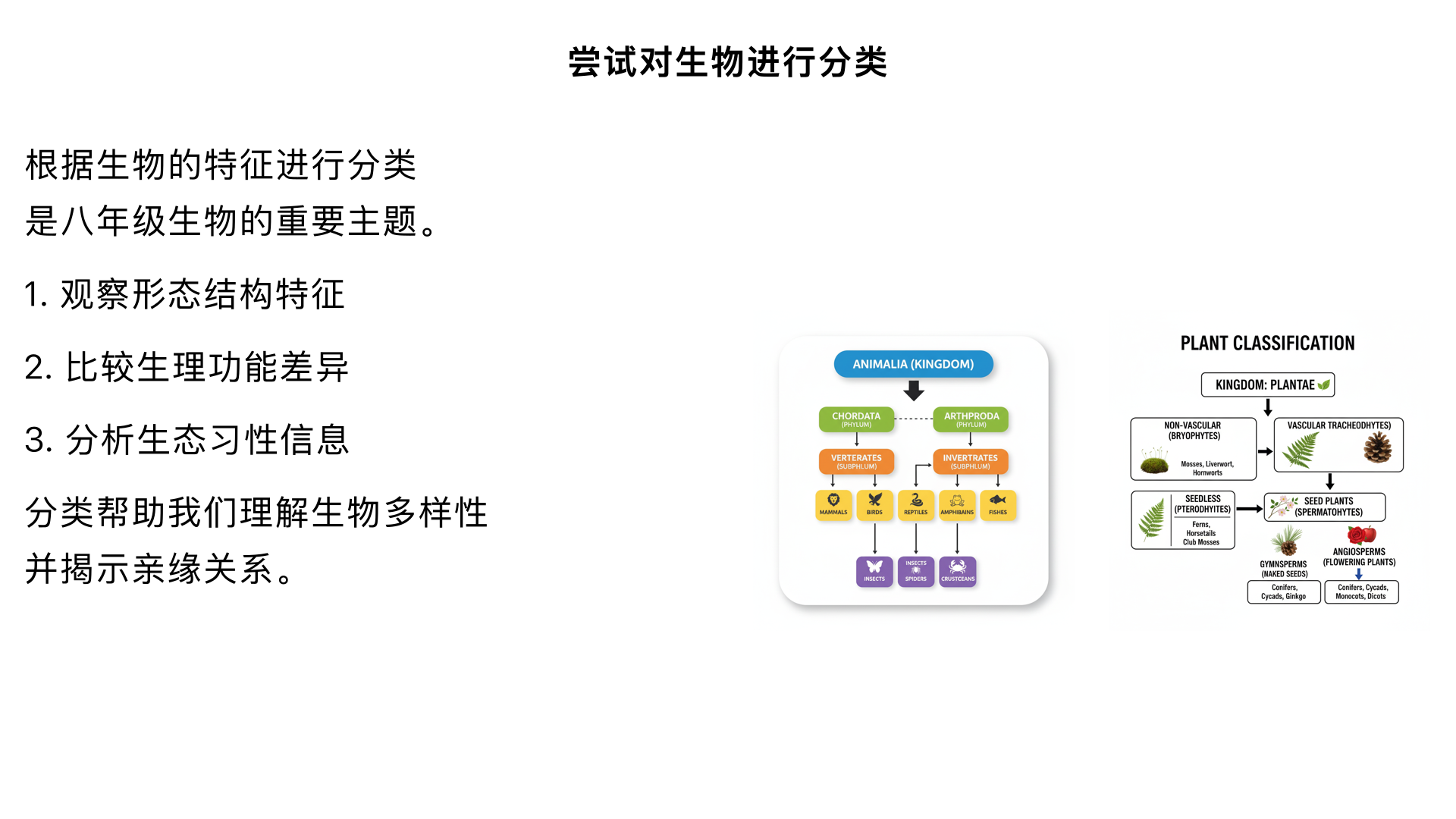 八年级生物 / 根据生物的特征进行分类 / 尝试对生物进行分类