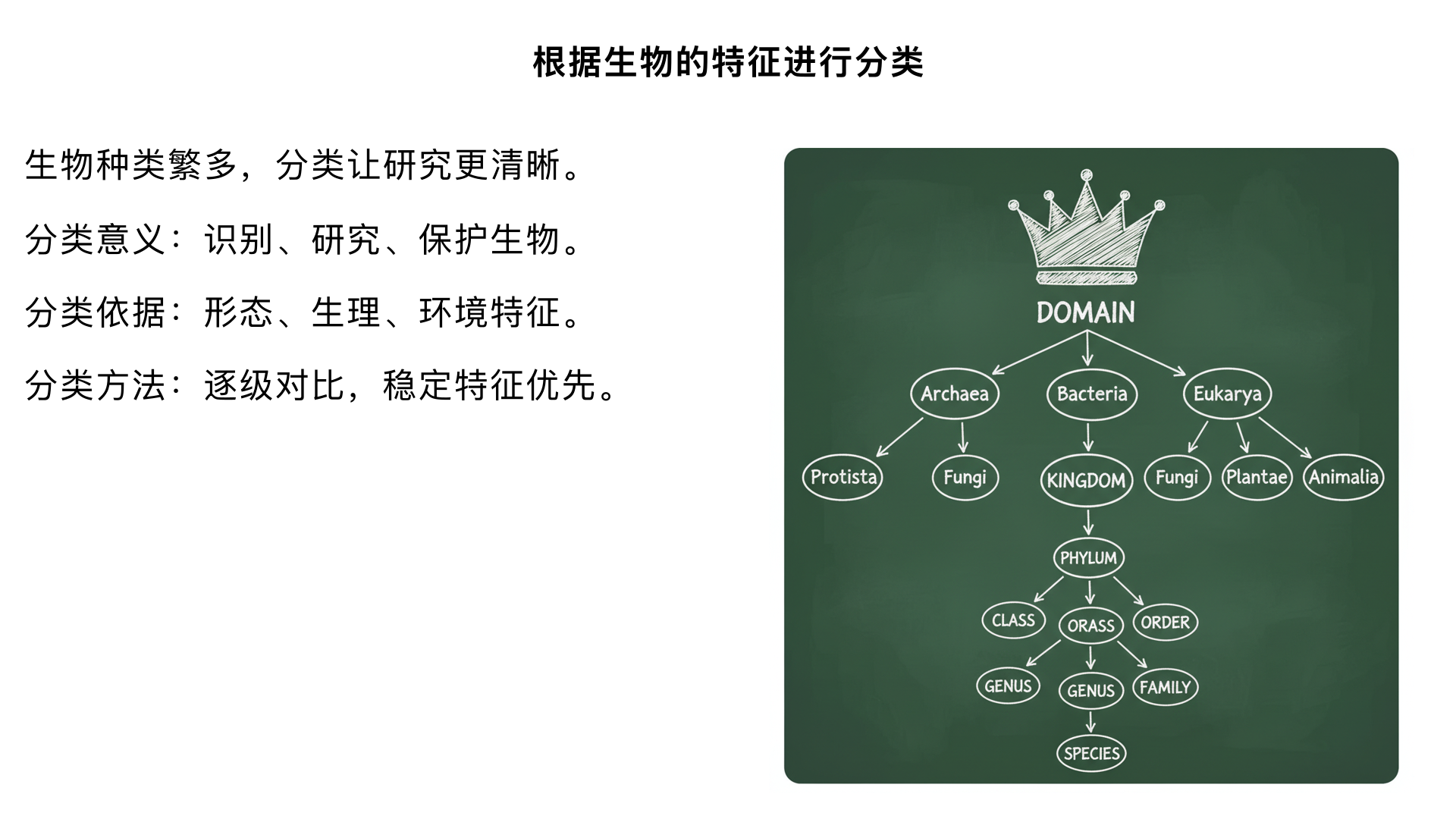 八年级生物 / 根据生物的特征进行分类 / 尝试对生物进行分类
一、核心目标（学完本节需掌握）
理解生物分类的意义（便于识别、研究和保护生物）。
掌握生物分类的核心依据（形态结构、生理功能、生活环境等特征）。
学会简单的生物分类方法（逐级分类、对比特征）。
能对常见生物进行初步分类（如植物、动物的基础类群划分）。
二、知识点拆解（逻辑递进）
（一）生物分类的意义 —— 为什么要分类？
现实需求：自然界生物种类繁多（约 200 多万种），杂乱无章的生物难以研究和利用。
核心意义：
使生物之间的亲缘关系和进化关系更清晰。
便于人们快速识别、命名和保护生物（如区分有毒植物和可食用植物）。
为科研提供统一的分类标准（如研究生物进化时，分类是重要依据）。
（二）生物分类的核心依据 —— 根据什么分类？
分类的本质是对比生物的 “共同特征” 和 “不同特征”，核心依据分为 3 类：
依据类型	具体例子
形态结构特征	植物：有无根、茎、叶（如藻类无根茎叶，苔藓有假根和茎叶，蕨类有真正根茎叶）；
动物：有无脊柱（脊椎动物 vs 无脊椎动物）、体表覆盖物（羽毛、鳞片、毛发）。
生理功能特征	植物：能否光合作用（自养 vs 异养，如菟丝子异养，属于寄生植物）；
动物：呼吸方式（鳃呼吸、肺呼吸）、繁殖方式（卵生、胎生）。
生活环境特征	水生（鱼、水绵）、陆生（狗、杨树）、寄生（蛔虫）、腐生（蘑菇）等。
💡 关键原则：特征越相似的生物，亲缘关系越近，分类等级越低（如同一物种）。
（三）尝试分类的方法 —— 怎么进行分类？
1. 基本思路：“逐级分类法”（从大到小，逐步细化）
先确定 “大类别”（如植物 vs 动物），再根据更具体的特征划分 “小类别”（如植物→种子植物→被子植物）。
核心步骤：
① 确定分类对象（如 10 种生物：小麦、狗、海带、蚯蚓、向日葵、麻雀、苔藓、蝗虫、蕨类、猫）；
② 选择首要分类依据（如 “是否能进行光合作用”，先分植物和动物）；
③ 对每一类再选次要依据（如植物→有无种子，动物→有无脊柱）；
④ 重复细分，直到每类只剩 1 种或亲缘关系极近的生物。
2. 实例操作：对上述 10 种生物进行分类
分类步骤	分类依据	分类结果
第一步（一级分类）	是否能进行光合作用（自养）	植物类：小麦、海带、向日葵、苔藓、蕨类；
动物类：狗、蚯蚓、麻雀、蝗虫、猫。
第二步（植物类细分）	有无种子	种子植物：小麦、向日葵（能产生种子）；
孢子植物：海带、苔藓、蕨类（靠孢子繁殖）。
第三步（种子植物细分）	种子外有无果皮包被	被子植物：小麦、向日葵（种子有果皮，属于绿色开花植物）。
第三步（孢子植物细分）	有无根、茎、叶的分化	无根茎叶：海带（藻类植物）；
有茎叶无真根：苔藓（苔藓植物）；
有真正根茎叶：蕨类（蕨类植物）。
第二步（动物类细分）	有无脊柱	脊椎动物：狗、麻雀、猫（体内有由脊椎骨构成的脊柱）；
无脊椎动物：蚯蚓、蝗虫（无脊柱）。
第三步（脊椎动物细分）	生殖方式 + 体表特征	胎生、体表被毛：狗、猫（哺乳动物）；
卵生、体表被羽：麻雀（鸟类）。
第三步（无脊椎动物细分）	身体分节 + 附肢特征	身体分节、无外骨骼：蚯蚓（环节动物）；
身体分节、有外骨骼和分节附肢：蝗虫（节肢动物）。
3. 分类注意事项
选择 “稳定的特征”（如有无脊柱比 “体型大小” 更稳定，体型会随生长变化）。
避免单一特征判断（如仅凭 “会飞” 判断鸟类，蝙蝠会飞但属于哺乳动物，需结合 “胎生、被毛” 等多个特征）。
三、常见易错点与纠正
易错点 1：认为 “能光合作用的都是植物”。
纠正：蓝细菌（蓝藻）能光合作用，但属于原核生物，不是植物；植物一定能光合作用（自养），但自养生物不止植物。
易错点 2：仅凭 “生活在水中” 判断为鱼类。
纠正：鲸鱼（哺乳动物，胎生）、鳄鱼（爬行动物，卵生）都生活在水中，但不是鱼类，需结合 “鳃呼吸、鳍游泳、无脊柱” 等特征。
易错点 3：分类时按 “个人喜好”（如把 “好看的生物” 归为一类）。
纠正：必须按 “生物自身的客观特征” 分类，而非主观判断。
四、课堂 / 课后练习（巩固应用）
请将下列生物按 “逐级分类法” 划分：玉米、草鱼、木耳、家鸽、蜗牛、肾蕨、大肠杆菌、熊猫。
（提示：先分 “有细胞结构的生物”→ 再分 “植物、动物、微生物”→ 继续细分）
判断题：
（1）蝗虫和蚯蚓都属于无脊椎动物，因此它们的亲缘关系很近。（×，蝗虫是节肢动物，蚯蚓是环节动物，特征差异大）
（2）向日葵和小麦都属于被子植物，因为它们的种子都有果皮包被。（√）
简答题：为什么分类时优先用 “形态结构特征” 而非 “生活环境”？（答：形态结构更稳定，生活环境可能变化，如睡莲生活在水中，荷花也生活在水中，但它们都是被子植物，结构特征一致；而同一环境可能有不同类群生物，如水中有鱼、水草、细菌）
