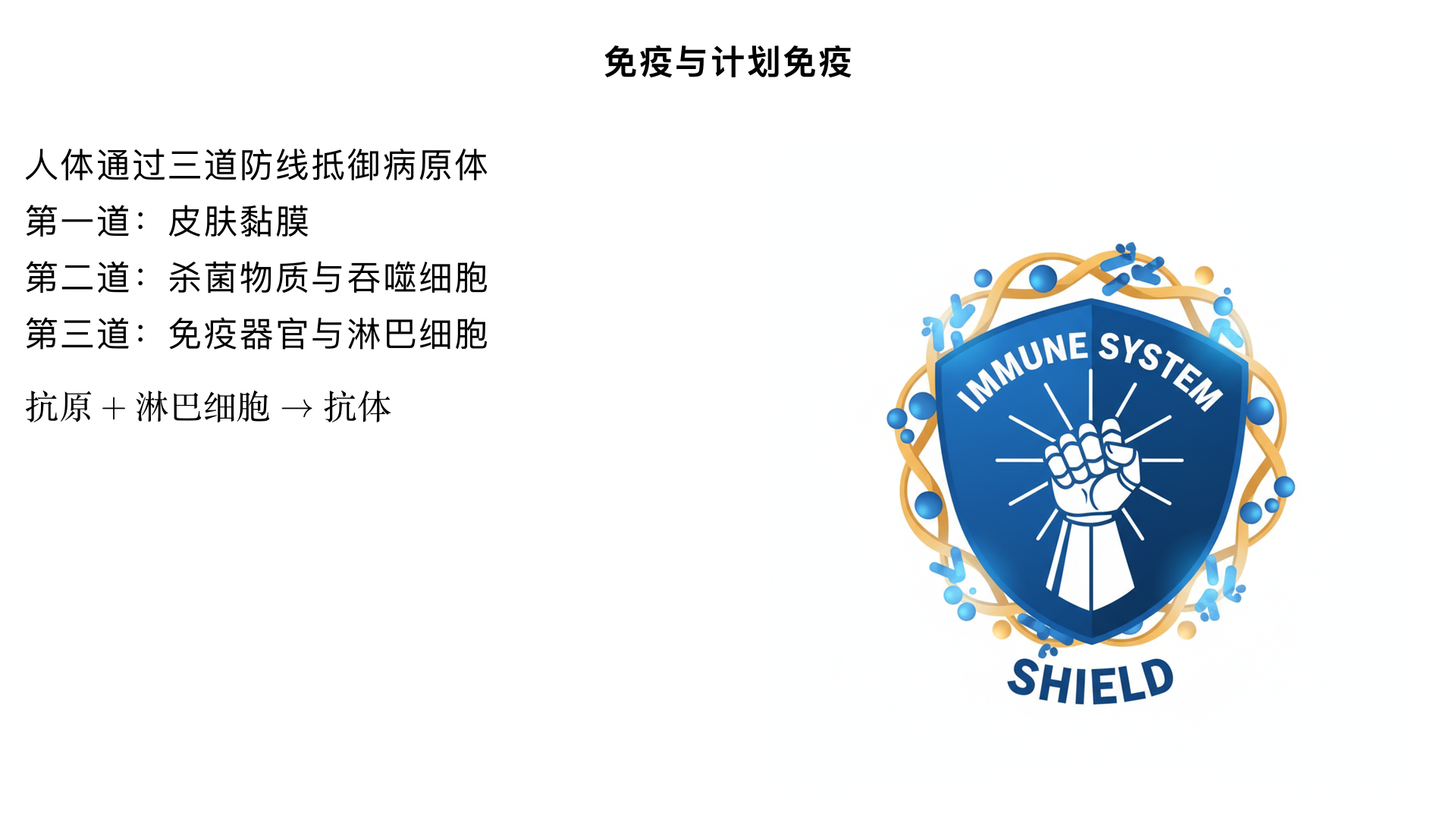 免疫与计划免疫
一、人体的三道防线
1. 第一道防线
组成：皮肤和黏膜及其分泌物
功能：
阻挡病原体侵入人体
分泌物 (如乳酸、胃酸等) 具有杀菌作用
特点：人人生来就有，对多种病原体都有防御作用，属于非特异性免疫(先天性免疫)
2. 第二道防线
组成：体液中的杀菌物质 (如溶菌酶) 和吞噬细胞 (如巨噬细胞、中性粒细胞)
功能：溶解、吞噬和消灭病原体
特点：也是生来就有的，不针对特定病原体，属于非特异性免疫
3. 第三道防线
组成：免疫器官 (胸腺、淋巴结、脾脏等) 和免疫细胞 (主要是淋巴细胞)
功能：产生抗体，清除抗原 (病原体或异物)
特点：出生后逐渐建立，只针对某一特定病原体起作用，属于特异性免疫(后天性免疫)
二、免疫的类型与区别
特征	非特异性免疫	特异性免疫
形成时间	生来就有	出生后逐渐形成
针对对象	多种病原体	特定病原体
特点	无特异性、无记忆性	特异性强、有记忆性
举例	第一、二道防线	第三道防线 (如接种疫苗)
作用范围	广泛	专一
特异性免疫又分为体液免疫 (B 细胞产生抗体) 和细胞免疫 (T 细胞直接攻击被感染细胞)
三、免疫的功能
防御功能：抵抗抗原入侵，防止疾病发生 (如感冒自愈)
自稳功能：清除体内衰老、死亡和损伤的细胞
监视功能：识别和清除体内产生的异常细胞 (如肿瘤细胞)
四、抗原与抗体
抗原：引起人体产生抗体的物质 (如病原体、疫苗等)
抗体：病原体刺激淋巴细胞产生的特殊蛋白质，能与相应抗原特异性结合
作用机制：抗体与抗原结合形成沉淀或细胞集团，促进吞噬细胞清除抗原
五、计划免疫
1. 概念
根据某些传染病的发生规律，将安全有效的疫苗按科学免疫程序，有计划地给儿童接种，以预防、控制和消灭相应传染病
是国家实行的免疫规划制度，政府免费提供免疫规划疫苗 
2. 疫苗原理
疫苗是用减毒或灭活的病原体制成的生物制品
接种后刺激人体产生相应抗体，获得对特定传染病的免疫力
属于特异性免疫，利用第三道防线原理
3. 常见疫苗及预防疾病
疫苗名称	预防疾病	接种时间 / 程序
卡介苗 (BCG)	肺结核	出生后 24 小时内
乙肝疫苗	乙型肝炎	0-1-6 个月程序 (3 剂) 
百白破疫苗	百日咳、白喉、破伤风	3、4、5 月龄各一剂，18 月龄加强
脊髓灰质炎疫苗 (糖丸)	小儿麻痹症	2、3、4 月龄，4 岁加强
麻疹 / 麻风疫苗	麻疹、风疹	8 月龄，18-24 月龄加强 
乙脑疫苗	流行性乙型脑炎	8 月龄、2 岁 
4. 计划免疫的意义
有效预防儿童常见传染病 (如麻疹、脊髓灰质炎、结核病等)
提高人群免疫水平，控制乃至消灭相应传染病
是预防传染病最经济、最有效的措施，尤其对保护易感人群意义重大
六、传染病预防的 "三要素"
控制传染源：对传染病人早发现、早诊断、早报告、早隔离
切断传播途径：搞好个人卫生和消毒工作，养成良好卫生习惯
保护易感人群：接种疫苗 (最有效)、加强锻炼、合理膳食
总结
免疫是人体识别 "自己" 和 "非己"，清除异物的生理功能，通过三道防线共同作用：前两道防线(皮肤、黏膜和体液杀菌物质) 提供非特异性免疫，第三道防线(免疫器官和细胞) 产生特异性免疫。
计划免疫是根据传染病流行规律，有计划接种疫苗，刺激机体产生抗体，获得特异性免疫力，从而预防相应传染病的科学措施，是保护儿童健康的重要保障。