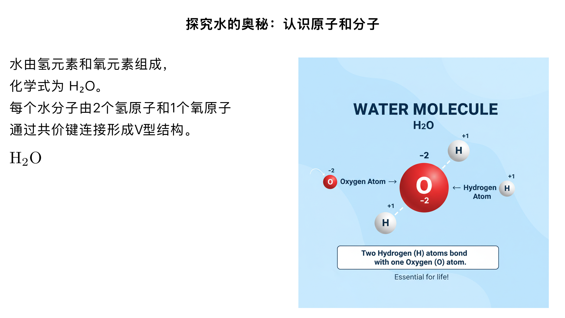 探究水的奥秘：认识原子和分子
一、物质的微观构成
1. 分子的概念
分子是保持物质化学性质的最小粒子（由分子构成的物质）
特点：质量和体积很小；不断运动（温度越高，运动越快）；分子间有间隔（气体 > 液体 > 固体）
同种物质分子性质相同，不同物质分子性质不同
2. 原子的概念
原子是化学变化中的最小粒子，在化学反应中不可再分
分子由原子构成，如水分子由氢原子和氧原子构成
3. 分子与原子的区别
化学变化中：分子可分，原子不可分
分子是保持物质化学性质的最小粒子，原子是构成分子的基本单元
二、水的微观世界
1. 水的组成
水是由氢元素和氧元素组成的化合物，化学式为 H₂O
水由大量水分子构成，每个水分子由2 个氢原子和1 个氧原子通过共价键连接形成V 型结构
2. 水分子模型
氧原子位于中心，两个氢原子分别位于两侧，形成约 104.5° 的键角
水分子是极性分子，氧原子带部分负电荷，氢原子带部分正电荷，这导致水分子间形成氢键，赋予水独特的物理性质（如高沸点、高比热容）
三、探究活动：电解水实验
实验目的：验证水的组成，探究化学变化的微观本质
实验原理：
plaintext
通电
2H₂O → 2H₂↑ + O₂↑
实验装置与步骤：
准备霍夫曼电解器或简易电解装置（两个电极、电解液容器）
加入蒸馏水（或去离子水），并滴入少量硫酸钠或氢氧化钠以增强导电性
接通直流电源，观察电极上产生的气泡
记录两极气体体积：阴极 (负极) 产生氢气，阳极 (正极) 产生氧气，体积比约为2:1
微观解释：
通电时，水分子分裂成氢原子和氧原子（分子可分）
每 2 个氢原子结合成 1 个氢分子（H₂），大量氢分子聚集成氢气
每 2 个氧原子结合成 1 个氧分子（O₂），大量氧分子聚集成氧气
原子在反应前后种类不变、数目不变（原子不可分）
实验结论：
水由氢元素和氧元素组成
化学变化的实质是：分子分裂为原子，原子重新组合成新分子
四、活动：制作水分子模型
材料准备：
不同颜色的小球（或气球、橡皮泥）：大球代表氧原子，小球代表氢原子
小木棍或吸管（代表化学键）
硬纸板（底座）
制作步骤：
取 1 个大球作为氧原子，2 个小球作为氢原子
将氧原子固定在底座中央
用木棍将两个氢原子连接到氧原子上，形成V 型结构（两氢原子夹角约 104.5°）
标注各原子名称及化学式 H₂O
拓展活动：
制作氢气分子（H₂）和氧气分子（O₂）模型，对比单质与化合物分子的区别
演示电解水的微观过程：将水分子模型拆开成原子，再重新组合成氢分子和氧分子，理解 "化学变化中分子可分，原子不可分" 的原理
五、用分子原子观点解释生活现象
1. 水的三态变化
固态 (冰)→液态 (水)→气态 (水蒸气)：分子间间隔增大，分子运动加剧，但分子本身没有改变（物理变化）
2. 水的溶解能力
水分子的极性使它能溶解多种物质：极性分子（如糖）或离子化合物（如盐）
溶解过程：水分子包围溶质粒子，使其分散在水中
3. 为什么水结冰后体积膨胀？
液态水中水分子排列较紧密，结冰时形成规则的氢键网络，分子间空隙增大，导致体积膨胀，密度减小（冰浮于水）
六、总结提升
通过探究水的奥秘，我们认识到：
物质由微观粒子构成：分子、原子等
水分子：由 2 个氢原子和 1 个氧原子构成（H₂O），呈 V 型结构，是极性分子
化学变化的本质：分子分裂为原子，原子重新组合成新分子（原子守恒）
水的特性源于其独特的分子结构和分子间作用力（氢键）
思考与拓展：
查阅资料了解水的其他奇妙性质（如表面张力、毛细现象）与分子结构的关系
设计实验证明分子在不断运动（如浓氨水与酚酞的扩散实验）
思考：如果水分子结构不是 V 型而是直线型，水的性质会发生什么变化？