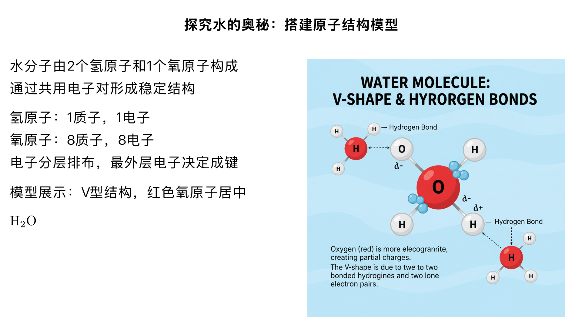 九年级化学 / 探究水的奥秘 / 搭建原子结构模型
本小节内容围绕原子结构基础和水分子的原子构成模型搭建展开，核心是帮助理解微观粒子的排布规律，以及水的微观构成本质，具体知识如下：
一、搭建原子结构模型的前提：原子的基本结构（九年级认知范畴）
原子的构成原子由原子核和核外电子构成，其中原子核又由质子和中子组成（普通氢原子无中子）。
质子：带 1 个单位正电荷，决定元素种类；
中子：不带电，影响原子的相对原子质量；
核外电子：带 1 个单位负电荷，分层排布，最外层电子数决定元素的化学性质。
九年级需掌握的氢、氧原子结构
氢原子：质子数为 1，核外只有 1 个电子，排布在第 1 层（最外层电子数为 1）；
氧原子：质子数为 8，核外共 8 个电子，分 2 层排布（第 1 层 2 个，第 2 层 6 个，最外层电子数为 6）。
二、搭建水分子的原子结构模型（探究水的微观构成）
1. 模型搭建的依据
水的化学式为，表示 1 个水分子由2 个氢原子和1 个氧原子构成；从原子成键角度（九年级简化认知），氧原子最外层 6 个电子，需得到 2 个电子达到稳定结构，氢原子最外层 1 个电子，需得到 1 个电子达到稳定结构，因此 1 个氧原子会和 2 个氢原子通过共用电子对结合形成水分子。
2. 模型搭建的步骤（简易手工 / 示意图搭建）
准备材料：可选用不同颜色的小球（如红色代表氧原子、白色代表氢原子）、牙签（代表化学键）；或用画图工具绘制模型。
定位中心原子：将代表氧原子的红色小球放在中心位置；
连接氢原子：用牙签将 2 个白色氢原子小球分别连接在氧原子两侧，形成 “V” 型结构（九年级阶段可简化为直线或 V 型，不深入空间构型细节）；
标注粒子信息：在小球旁标注原子的质子数、核外电子层排布（可选），体现原子结构与成键的关联。
三、模型的意义与局限性
意义
直观呈现水的微观构成，建立 “宏观物质 - 微观粒子” 的联系；
帮助理解化学式的含义，为后续学习化学方程式奠定基础。
局限性
简易模型无法体现电子的动态运动和共用电子对的实际作用；
未展示原子内部的原子核结构，仅能体现原子层面的组合。
四、探究活动中的常见问题
误将水分子模型搭成直线型（实际为 V 型，九年级可说明是特殊的空间结构即可）；
混淆原子和分子的界限，需强调 “模型中单个小球是原子，整体组合是分子”。